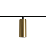 TUBE 40 Gold